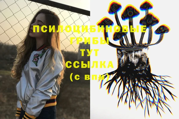 spice Вяземский