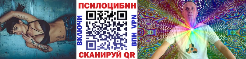 Псилоцибиновые грибы Psilocybine cubensis  Купить где  Каргат 